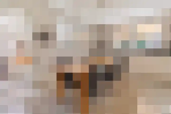 Schandelerboord 38 Heerlen thumbnail 7