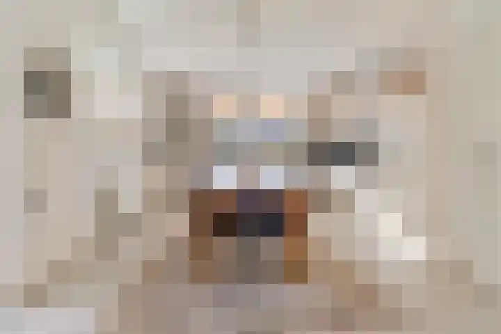 Schandelerboord 38 Heerlen thumbnail 8
