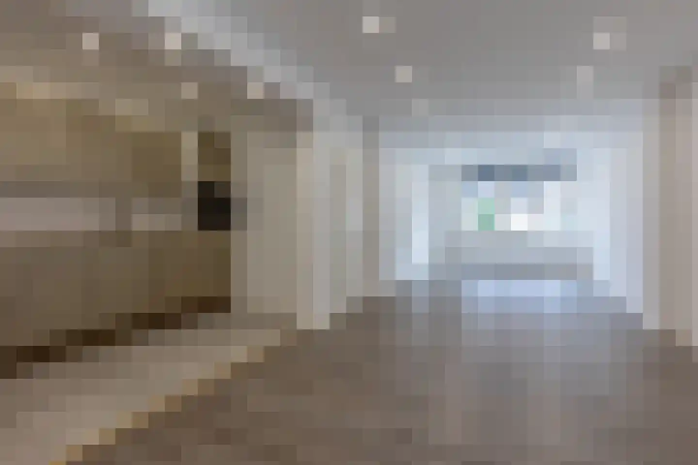 Schandelerboord 5 Heerlen thumbnail 7