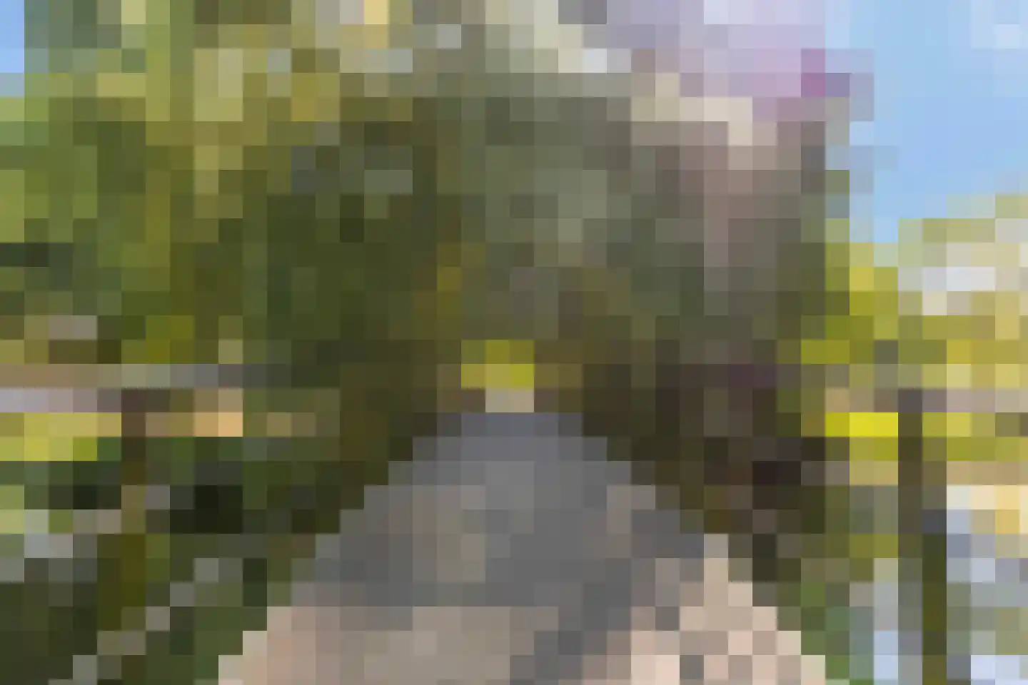 Schandelerboord 9 D Heerlen thumbnail 24