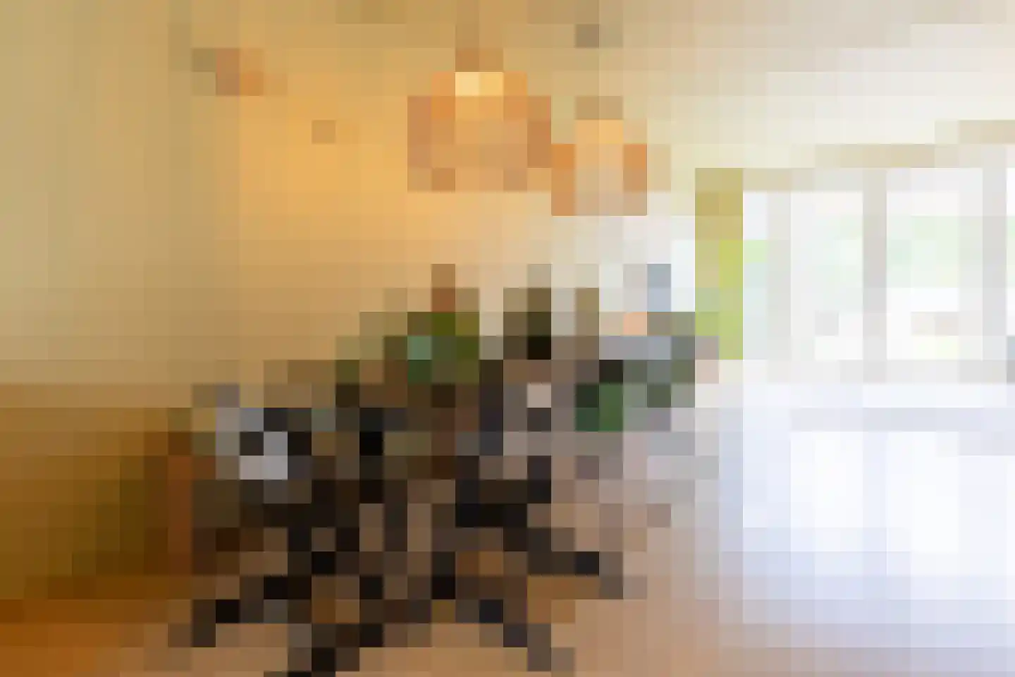 Schandelermolenweg 20 A Heerlen thumbnail 8