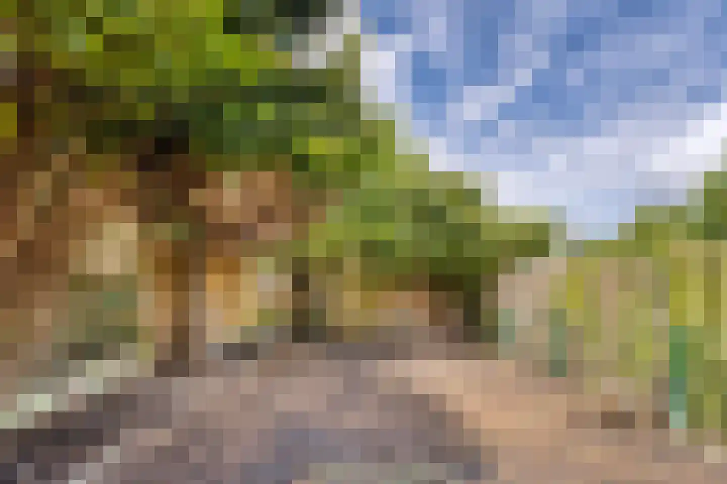 Schandelermolenweg 3 Heerlen thumbnail 13