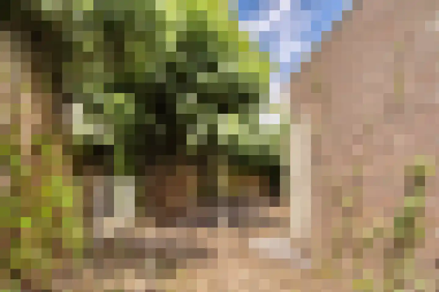 Schandelermolenweg 3 Heerlen thumbnail 14