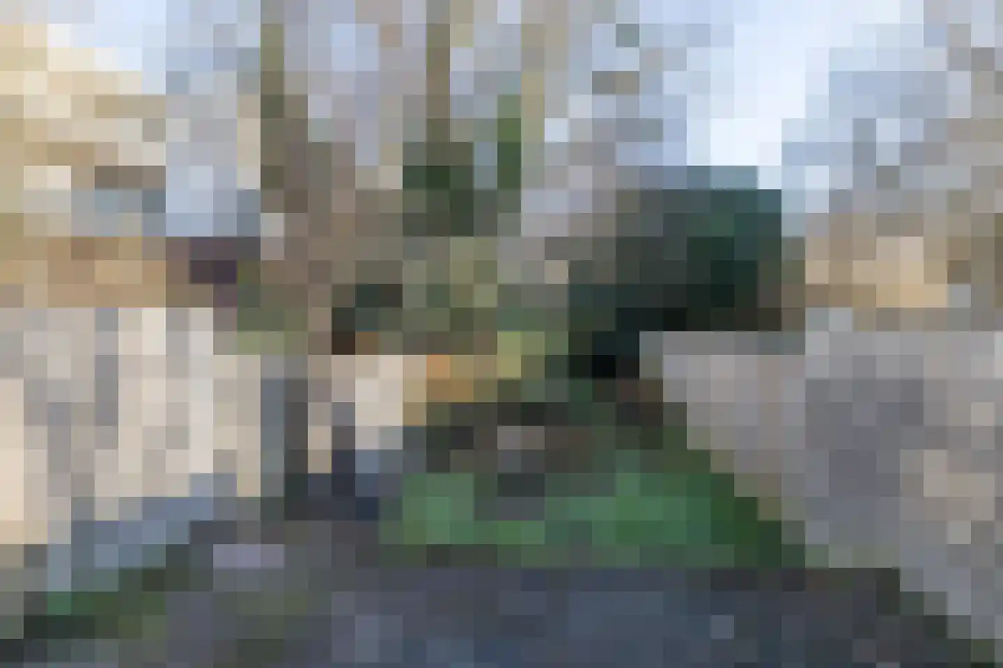 Schandelerstraat 24 Heerlen thumbnail 26