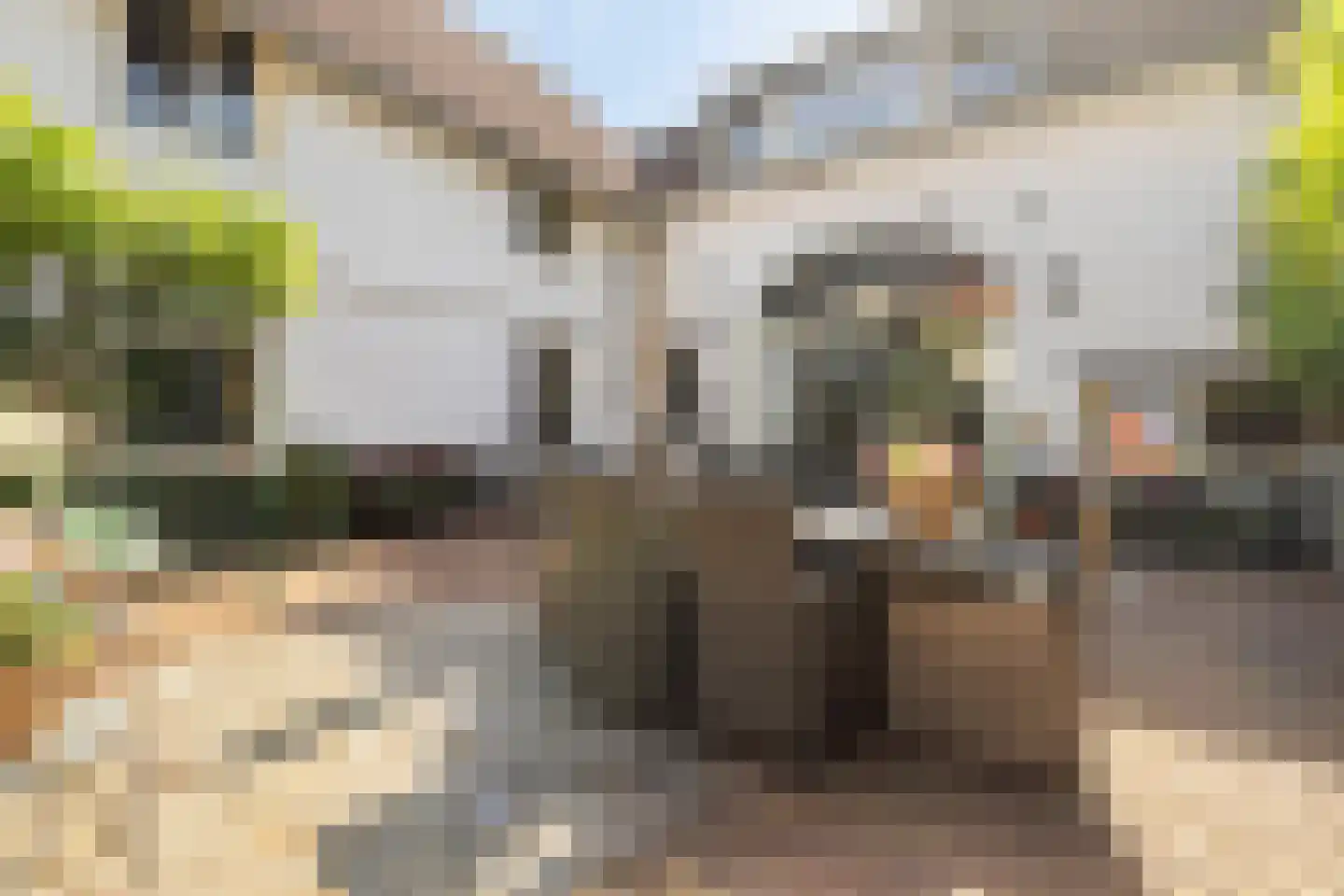 Schandelerstraat 49 Heerlen thumbnail 6
