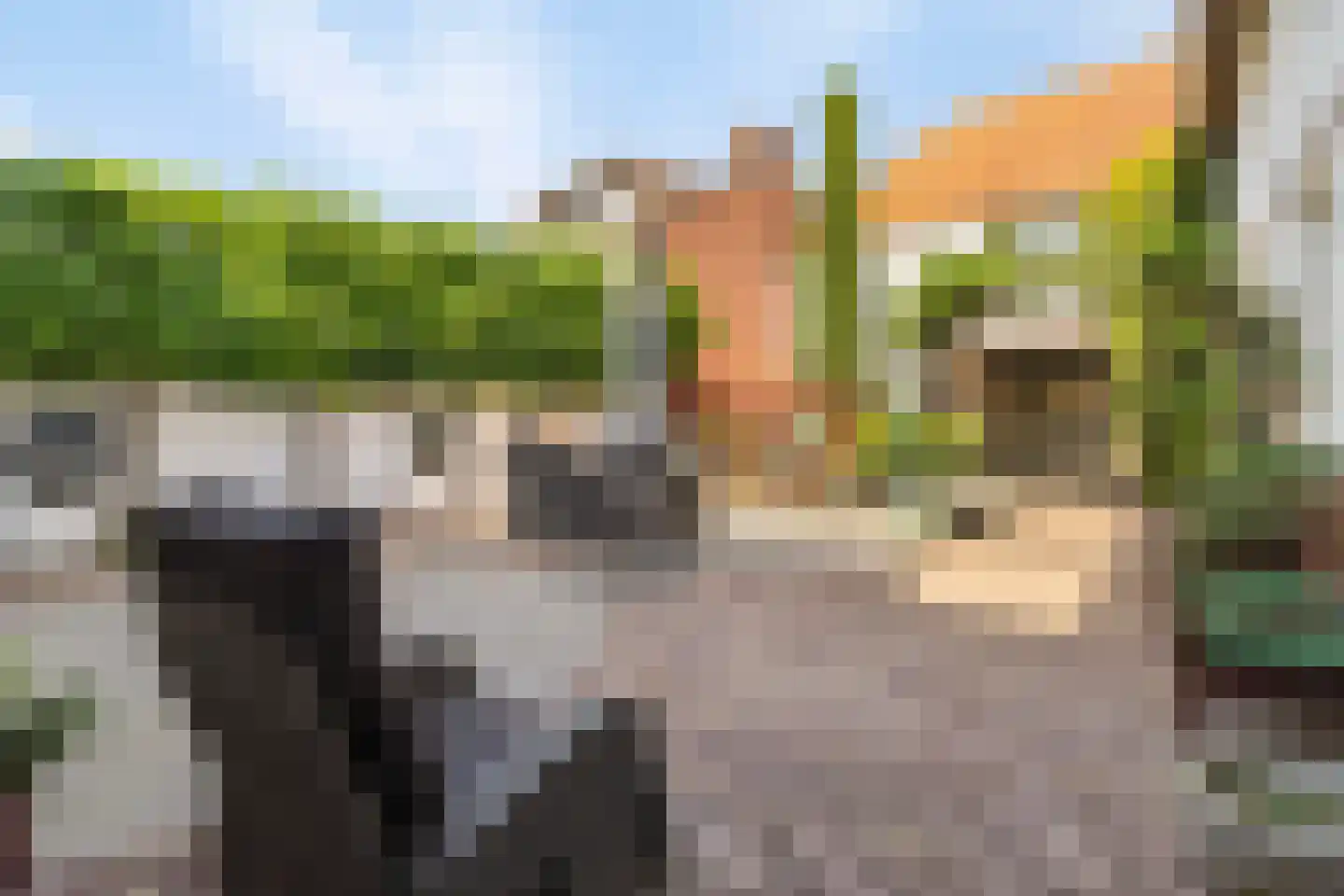 Schandelerstraat 49 Heerlen thumbnail 7