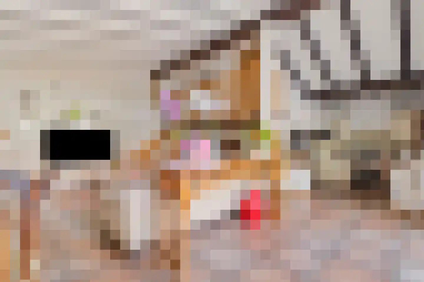 Schandelerstraat 49 Heerlen thumbnail 8