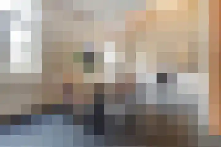Schandelo 10 Velden thumbnail 11