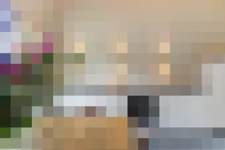 Schandelo 10 Velden thumbnail 12