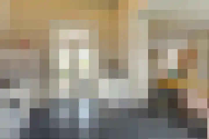 Schandelo 10 Velden thumbnail 14