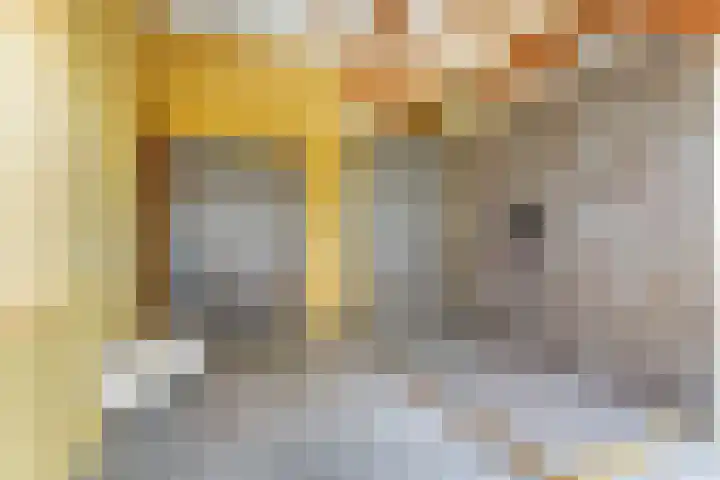 Schandelo 10 Velden thumbnail 26