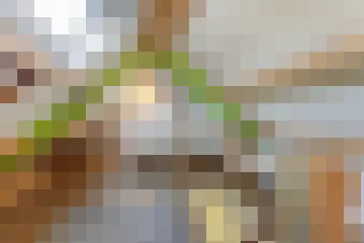 Schandelo 10 Velden thumbnail 33