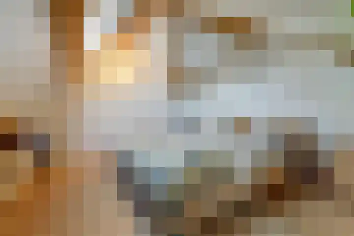 Schandelo 10 Velden thumbnail 34