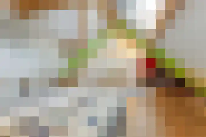 Schandelo 10 Velden thumbnail 35