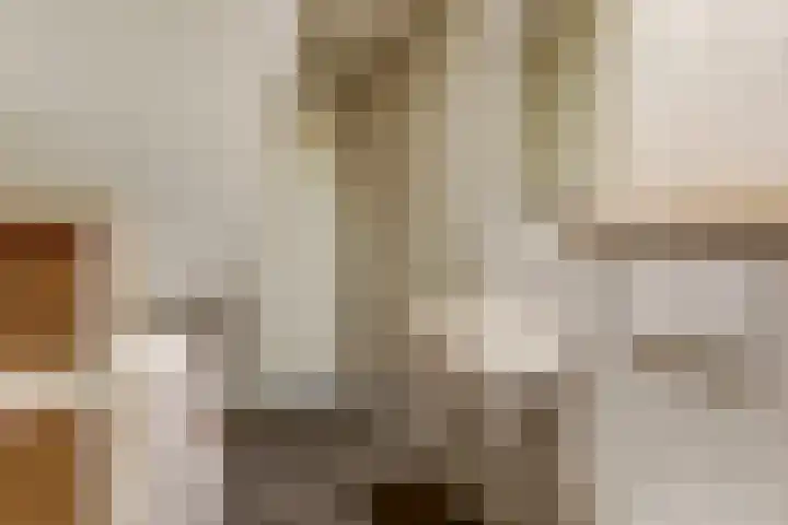 Schandelo 10 Velden thumbnail 37