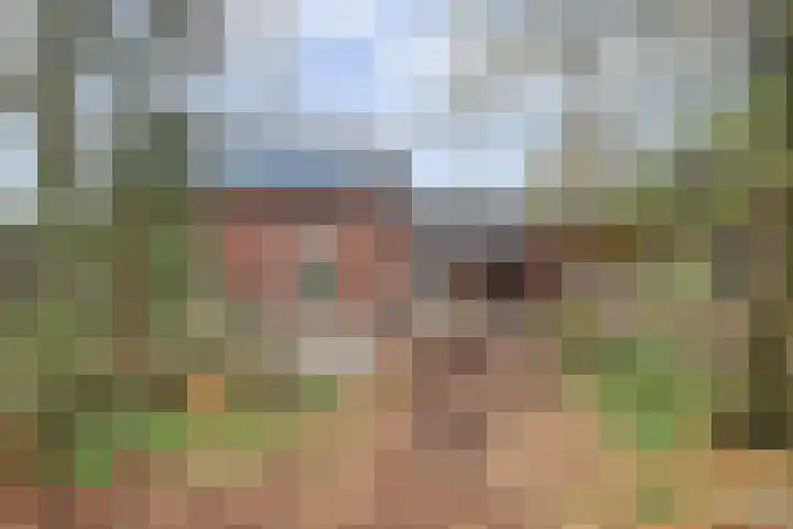 Schandelo 10 Velden thumbnail 39