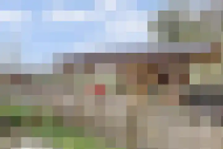 Schandelo 10 Velden thumbnail 4