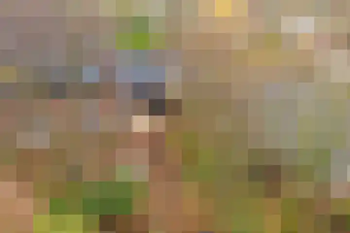 Schandelo 10 Velden thumbnail 40