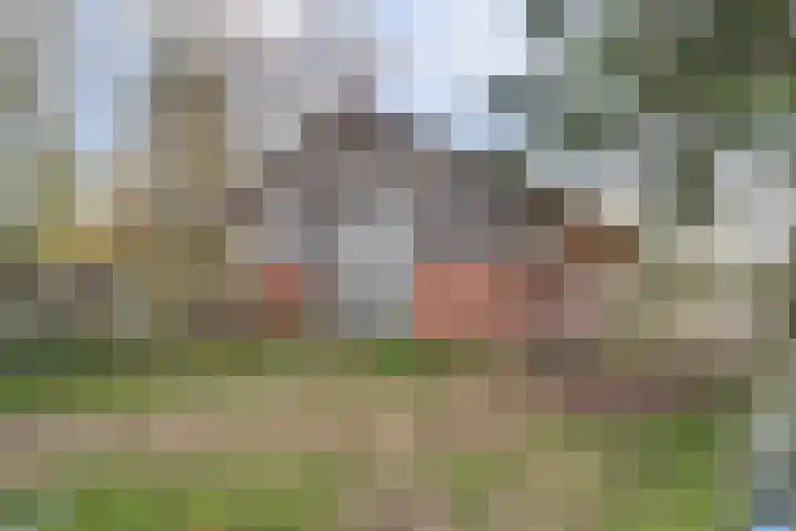 Schandelo 10 Velden thumbnail 42