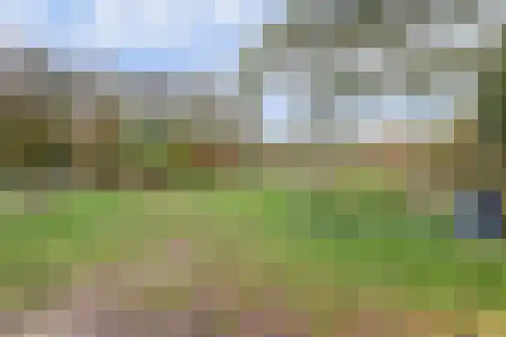 Schandelo 10 Velden thumbnail 43