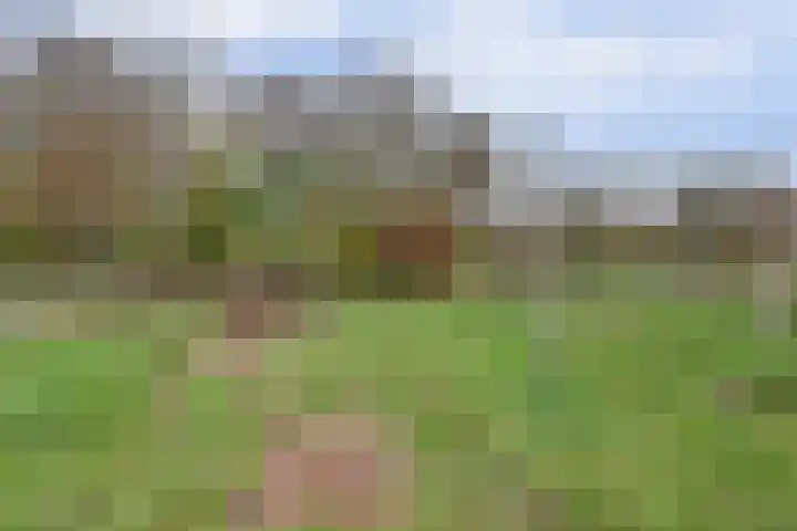Schandelo 10 Velden thumbnail 44