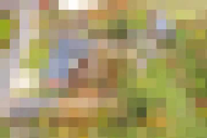 Schandelo 10 Velden thumbnail 45
