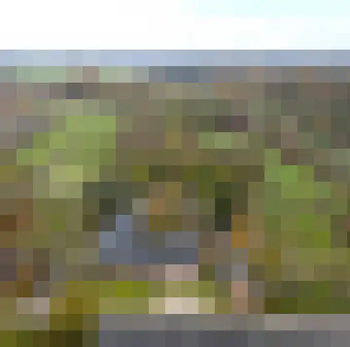 Schandelo 10 Velden thumbnail 47