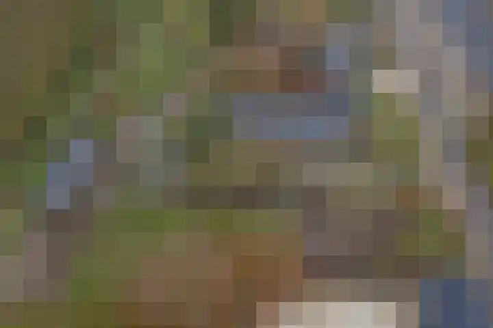 Schandelo 10 Velden thumbnail 48