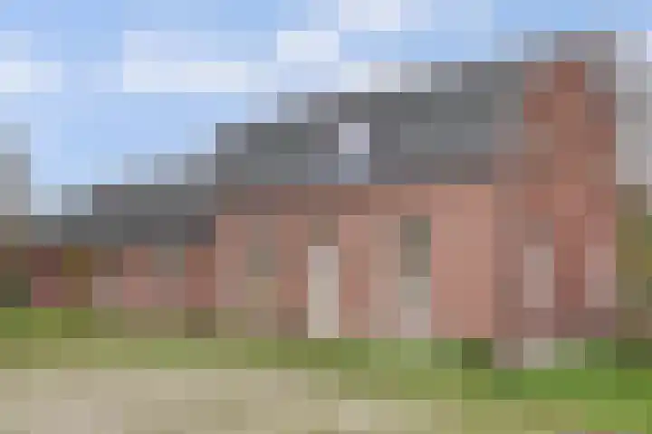 Schandelo 10 Velden thumbnail 50