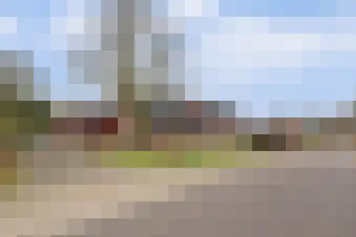 Schandelo 10 Velden thumbnail 52