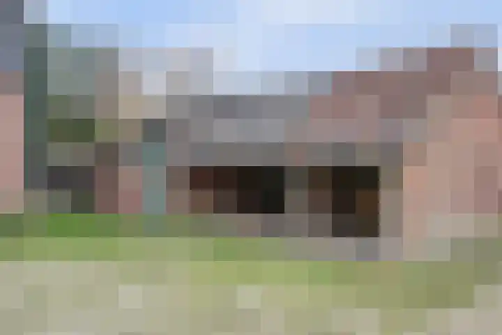 Schandelo 10 Velden thumbnail 53