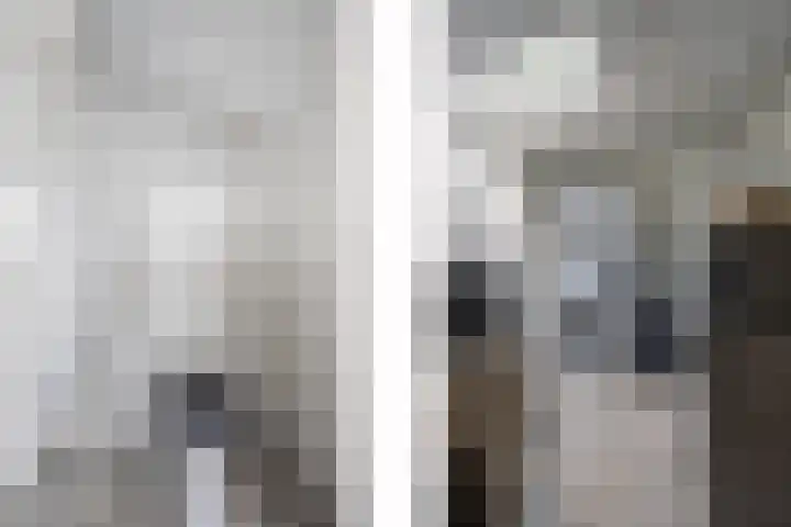 Schandelo 114 Velden thumbnail 25