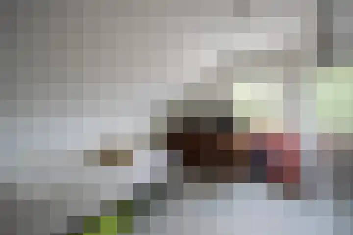 Schandelo 114 Velden thumbnail 28