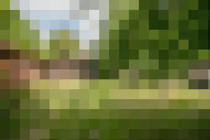 Schandelo 114 Velden thumbnail 41