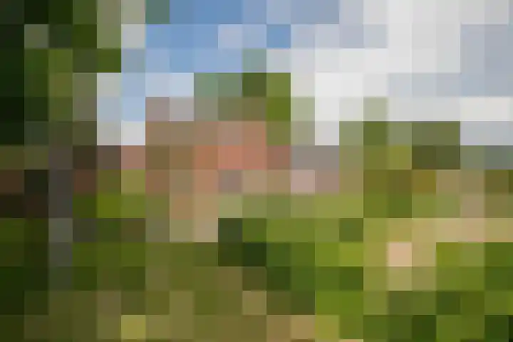 Schandelo 114 Velden thumbnail 44