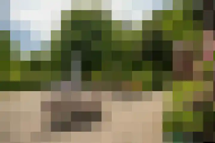 Schandelo 114 Velden thumbnail 48