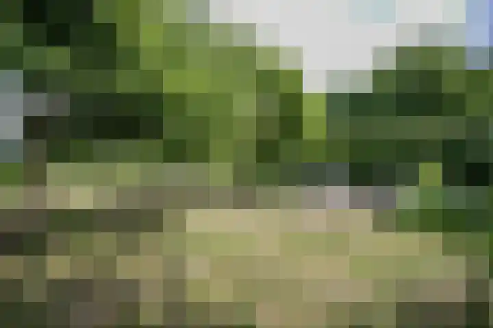 Schandelo 114 Velden thumbnail 52