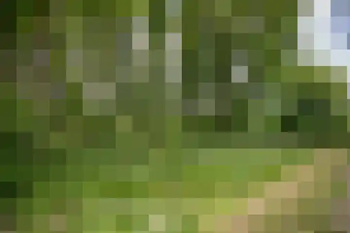 Schandelo 114 Velden thumbnail 53