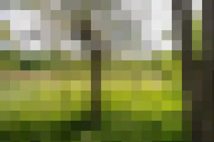 Schandelo 114 Velden thumbnail 54