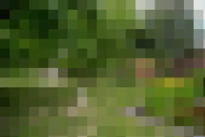 Schandelo 114 Velden thumbnail 60