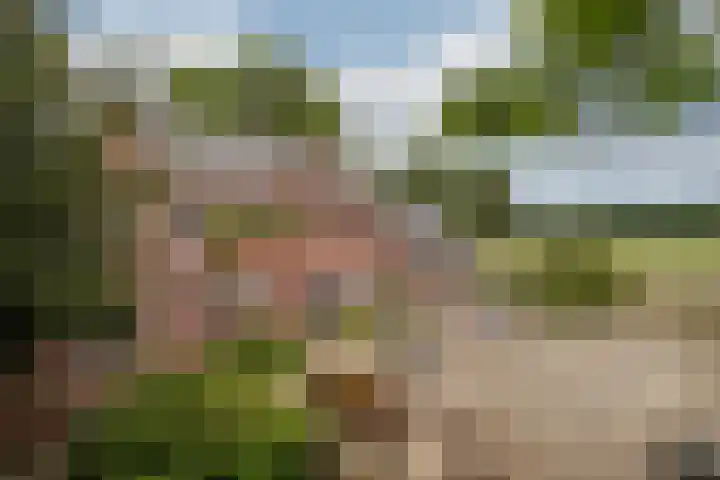 Schandelo 114 Velden thumbnail 64