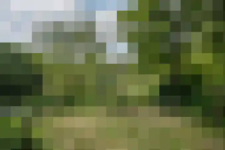 Schandelo 114 Velden thumbnail 67