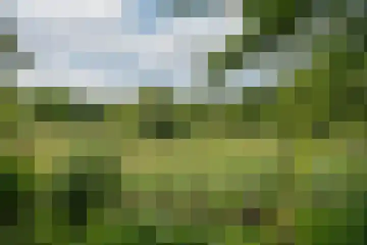 Schandelo 114 Velden thumbnail 68