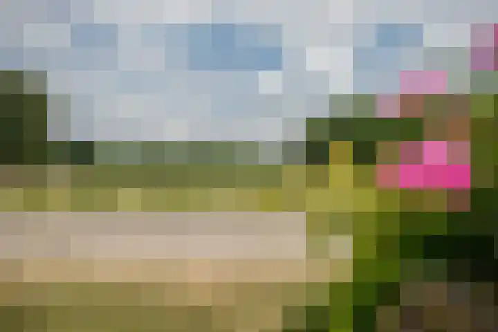 Schandelo 114 Velden thumbnail 72