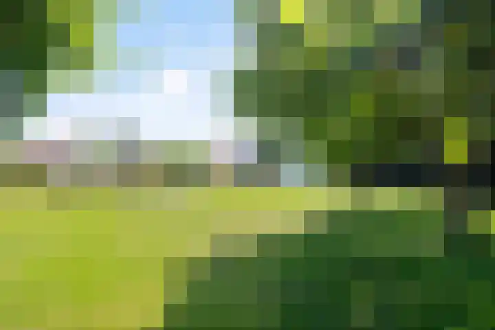 Schandeloseweg 25 A Velden thumbnail 38