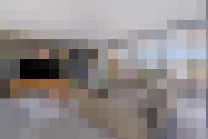 Schandeloseweg 25 A Velden thumbnail 7