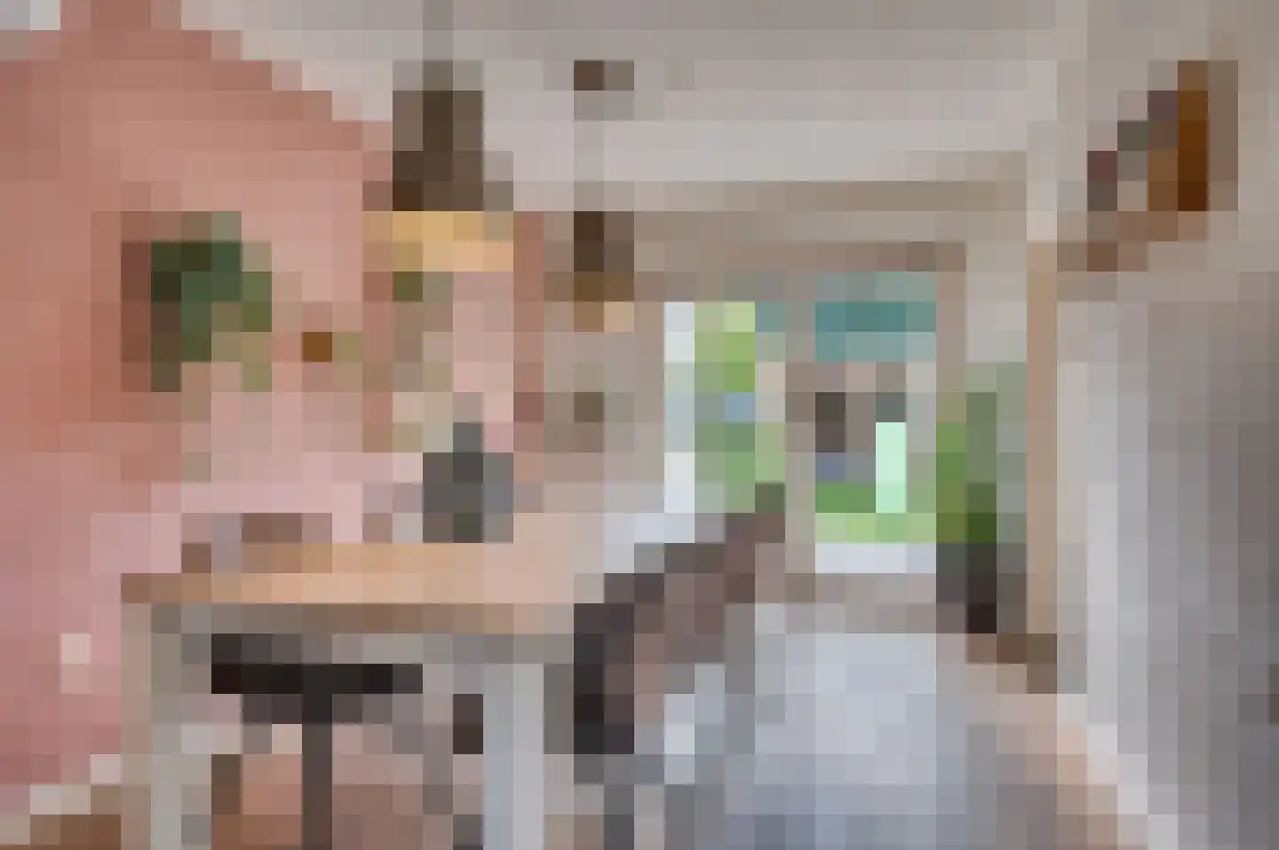 Schandeloseweg 32 Velden thumbnail 18