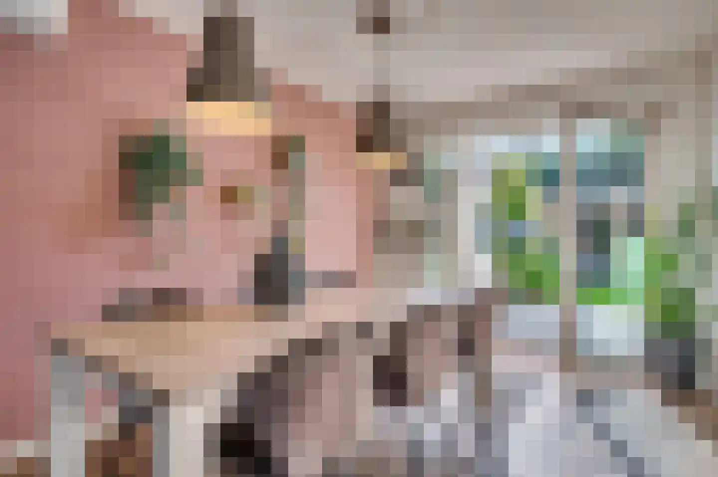 Schandeloseweg 32 Velden thumbnail 19