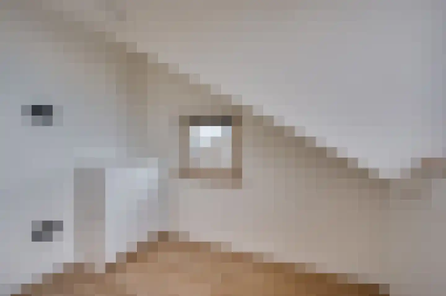 Schandeloseweg 32 Velden thumbnail 45