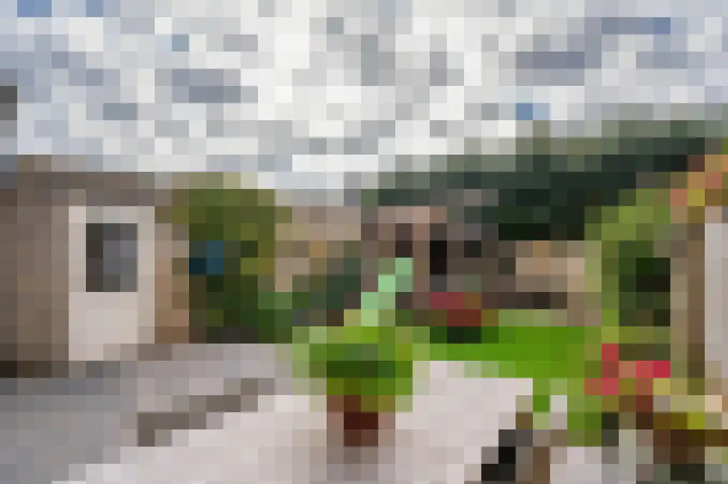 Schandeloseweg 32 Velden thumbnail 51